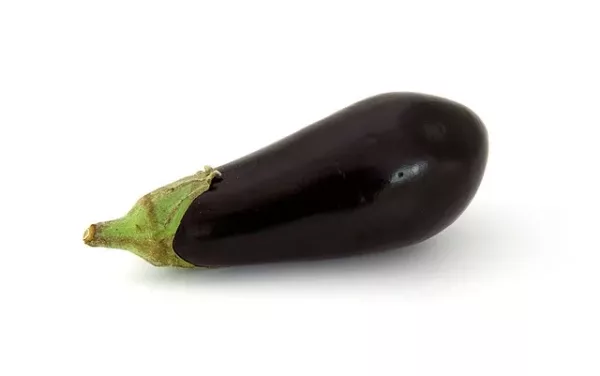 ⁦זרעי חציל סגול, כ-10 זרעים⁩ – תמונה ⁦2⁩