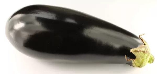 ⁦זרעי חציל סגול, כ-10 זרעים⁩ – תמונה ⁦3⁩