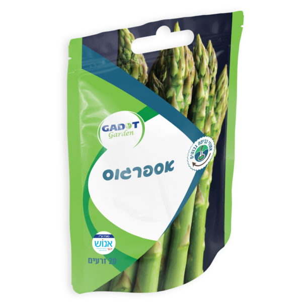 זרעי אספרגוס, כ-20 זרעים