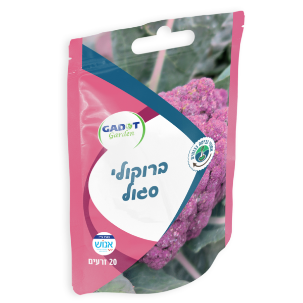 זרעי ברוקולי סגול, כ-20 זרעים
