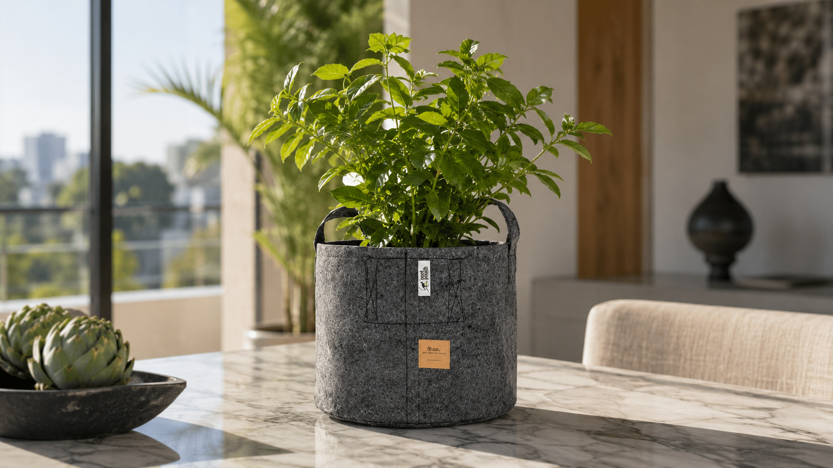 root pouch kitchen