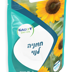 חמנייה לנוי, כ-20 זרעים
